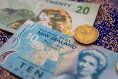 NZD valuta kiwidollar 