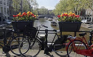 Bicycles and flowers in Amsterdam